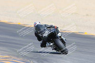 media/Mar-10-2024-SoCal Trackdays (Sun) [[6228d7c590]]/9-Turn 8 Backside (1150am)/